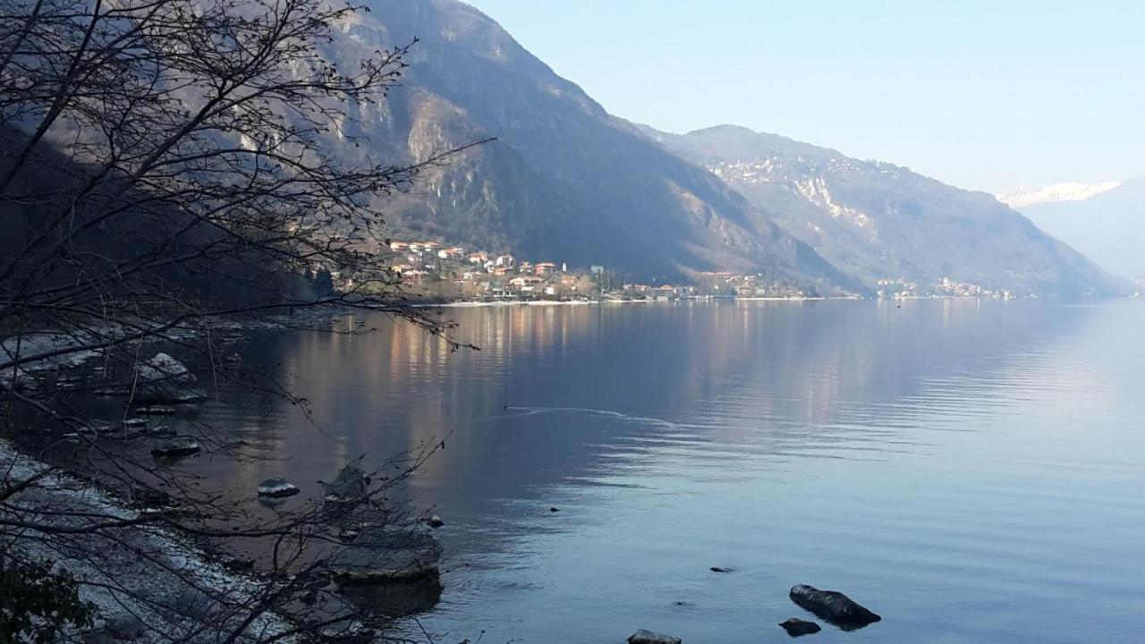 New Eleven Apartment On Como Lake Oliveto Lario Экстерьер фото